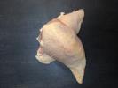 FREE RANGE CHICKEN BREAST SKIN ON PER KG