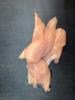 FREE RANGE CHICKEN TENDERLOINS PER KG