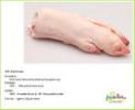 PORK TROTTERS - PRE ORDER