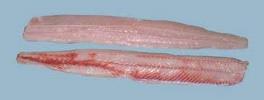 LEMONFISH SCHOOL SHARK SKINNED & BONED
