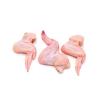 FREE RANGE CHICKEN WINGS PER 5KG CTN
