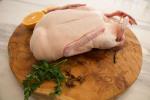DUCK STANDARD WHOLE #22