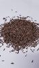 CARAWAY SEEDS 500GM (12)