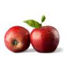 APPLE RED SMALL