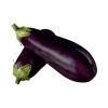  AUBERGINE / EGGPLANT