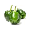 CAPSICUM GREEN EACH