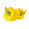 CAPSICUM YELLOW EACH