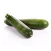 COURGETTE GREEN KG