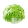 LETTUCE ICEBERG - KILO