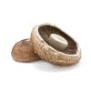 MUSHROOM FLAT KG