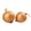 ONIONS WHOLE SKIN ON