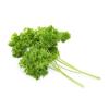 PARSLEY 100G