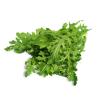 LETTUCE ROCKET - KILO
