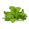 HERB MINT 100g