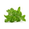 HERB OREGANO 100g