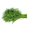 HERB DILL 100g