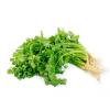HERB CORIANDER 100g