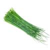 HERB CHIVES 100g