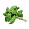 HERB BASIL NZ 100g