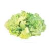 LETTUCE SLICED