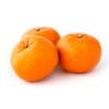 MANDARINS KG