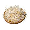 MUNG BEAN SPROUTS KG