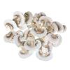 MUSHROOM SLICED KG