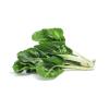 SILVERBEET