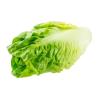 LETTUCE COS - EACH
