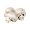 MUSHROOM BUTTON KG