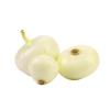 ONIONS WHOLE PEELED KG