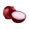 ONIONS RED