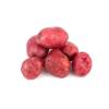 POTATO RED BABY