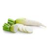 7363 - DAIKON RADISH KG
