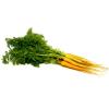 CARROT BABY YELLOW