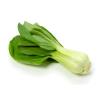 CABBAGE SHANGHAI KG