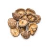 SHITAKE MUSHROOM
